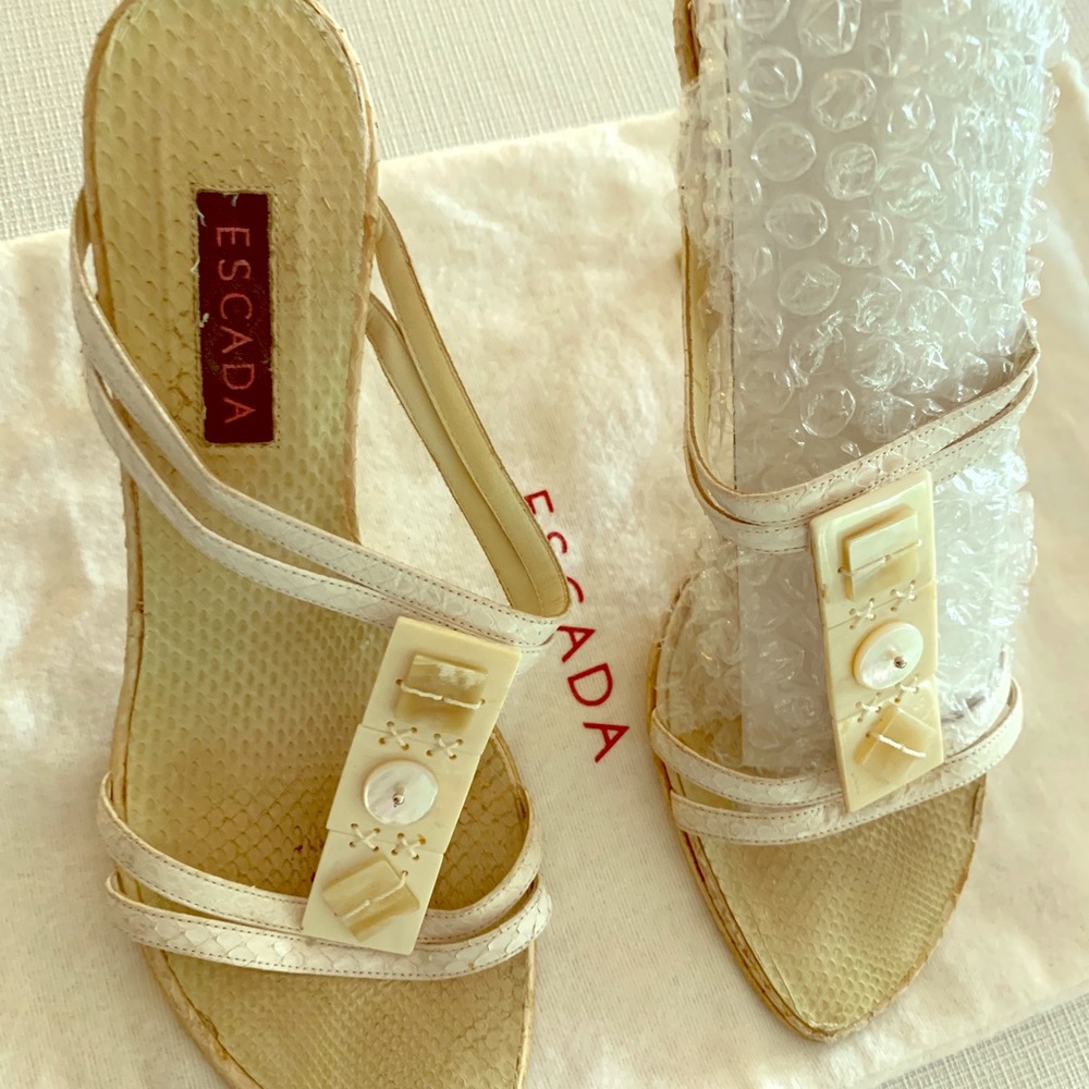 Nice shoe Design